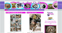 Desktop Screenshot of floridalittledogrescue.com